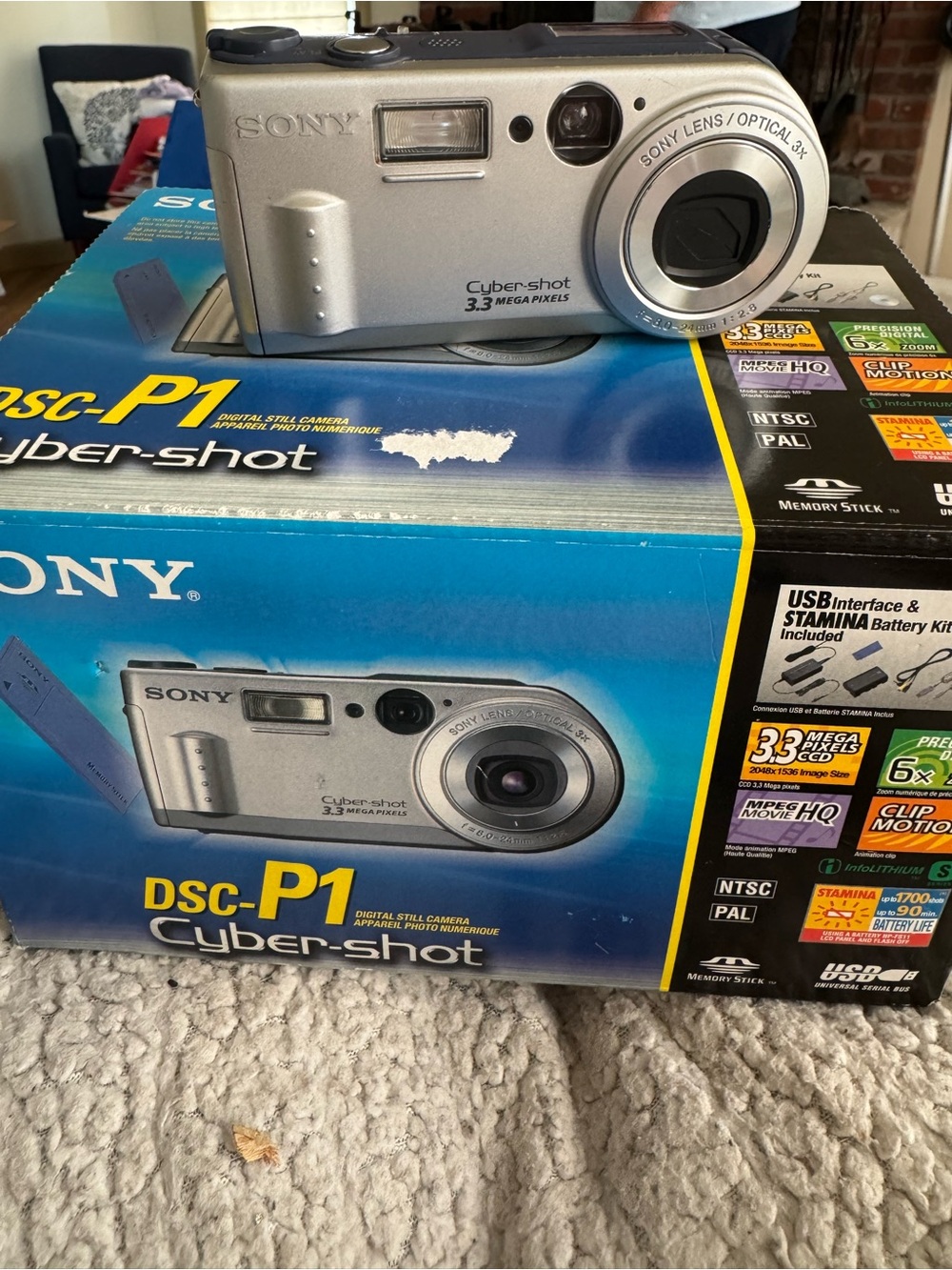 Sony Silver Cyber-shot DSC-P1 Compact Digital Camera